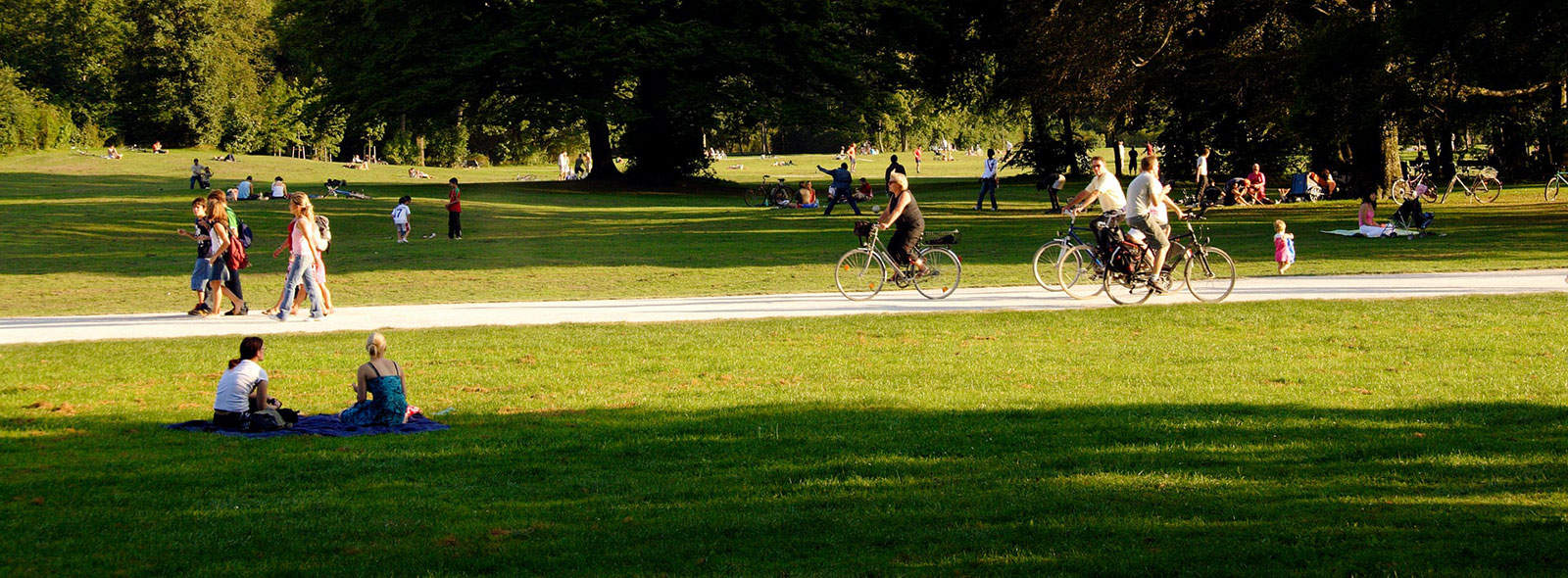 people sitting in sunshine on grass in a park