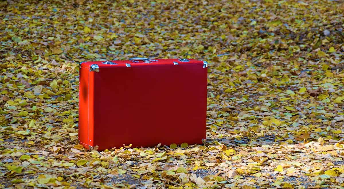 Red briefcase sitting alone on a leaf-strewn pathway